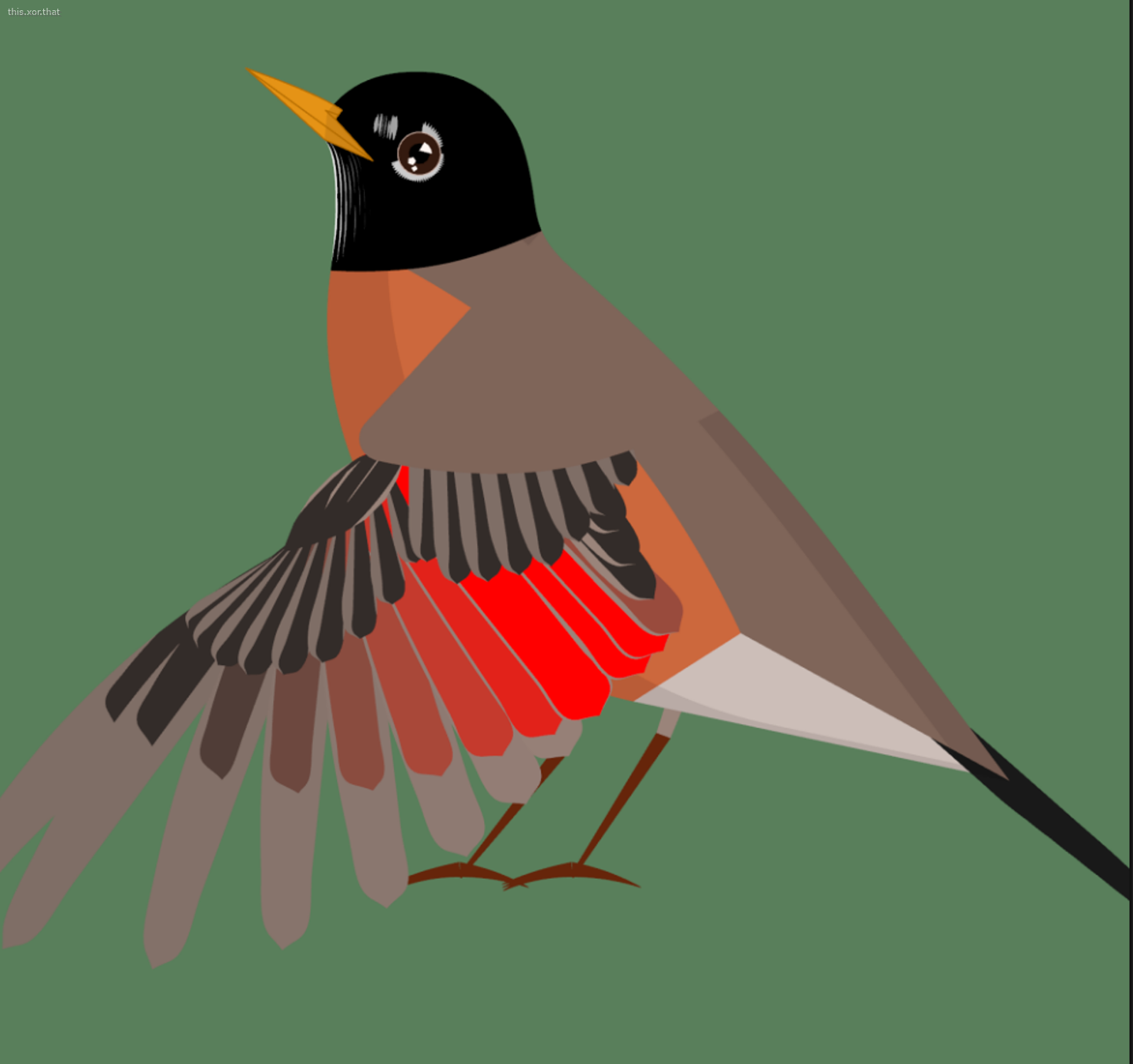 a test of interpolating wing feather designs
